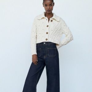 Zara Pom Pom Knit Button Up Sweater